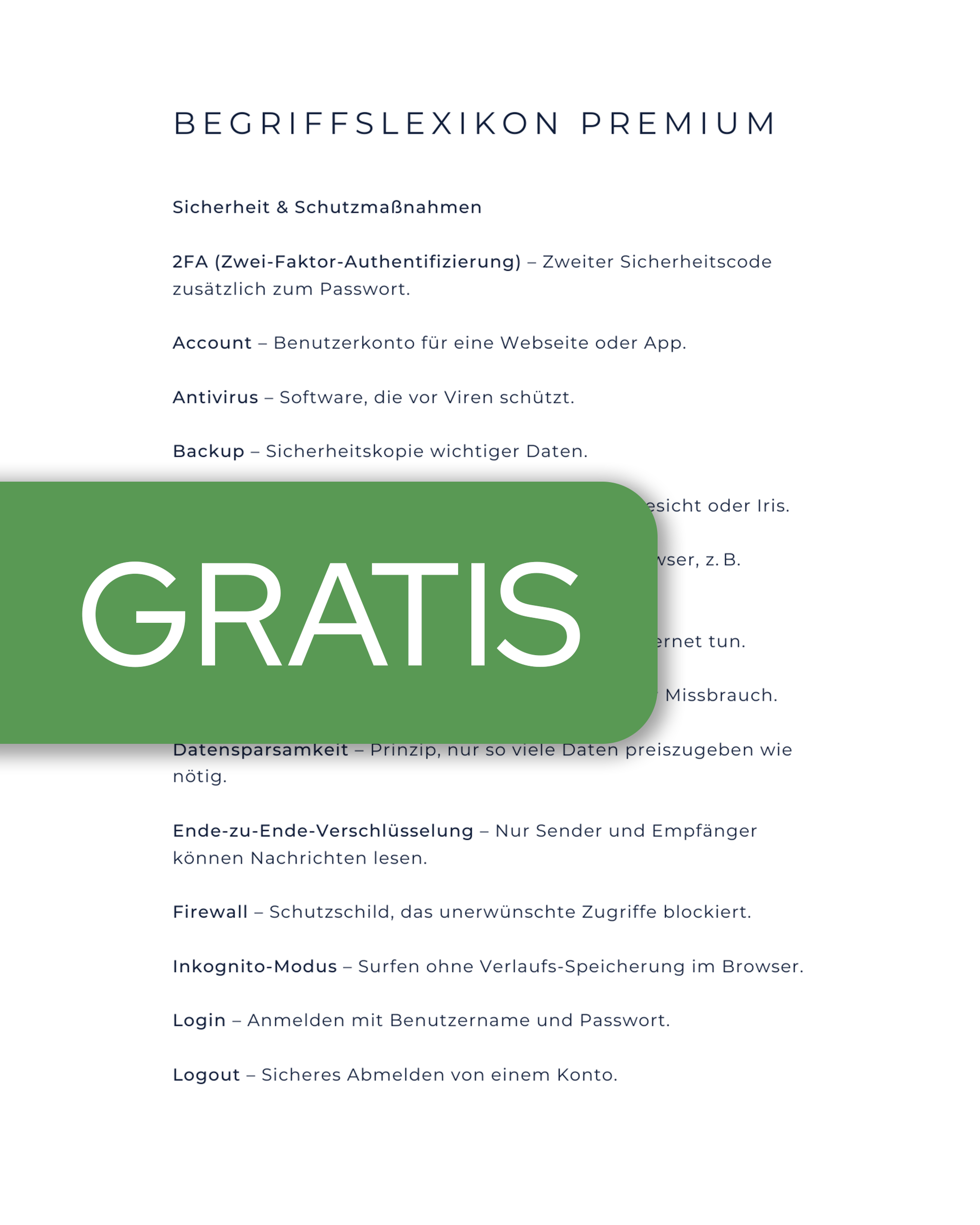 Internet Begriffslexikon Premium (100+ Begriffe)